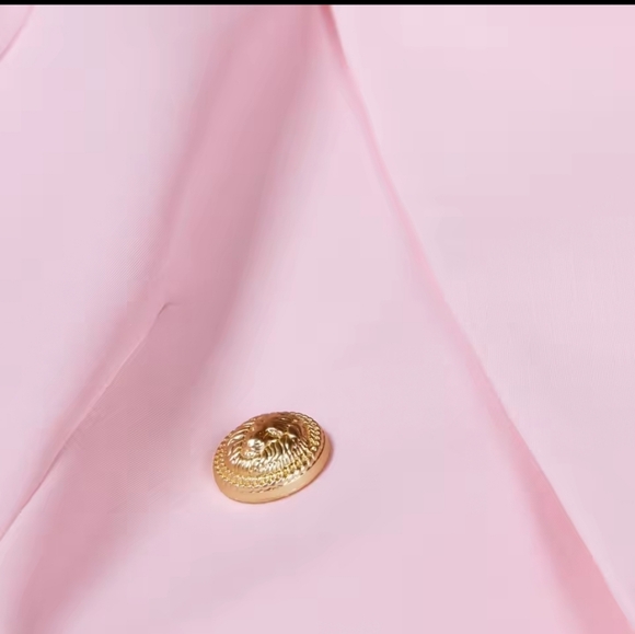 Elegant Pink Blazer with Gold Accents - Picture 7 of 11